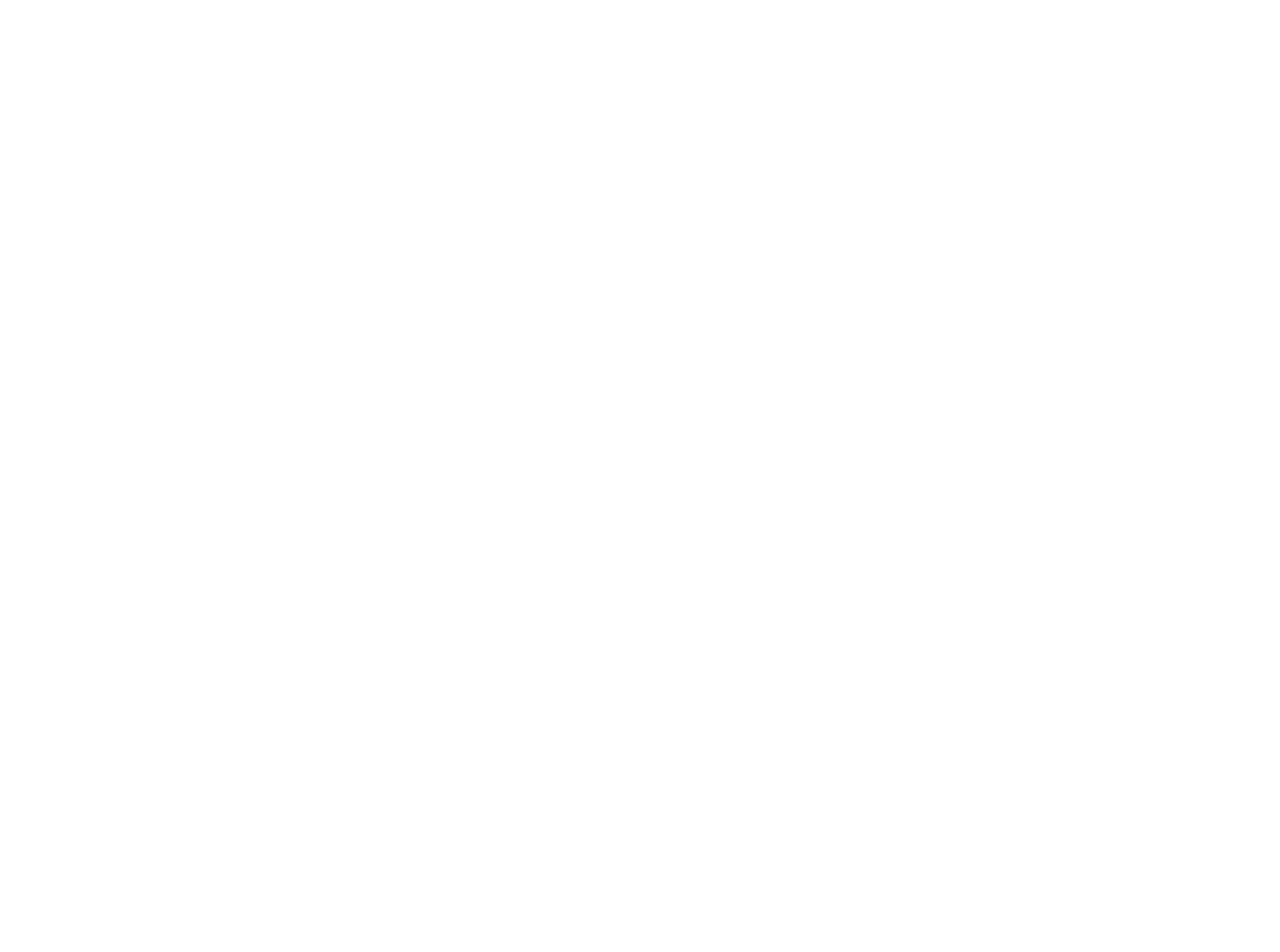logo solo